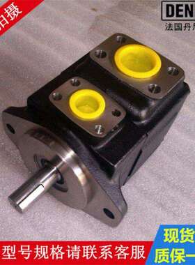 T6EDM 066 B42 3L01 C1 法国丹尼逊叶片泵