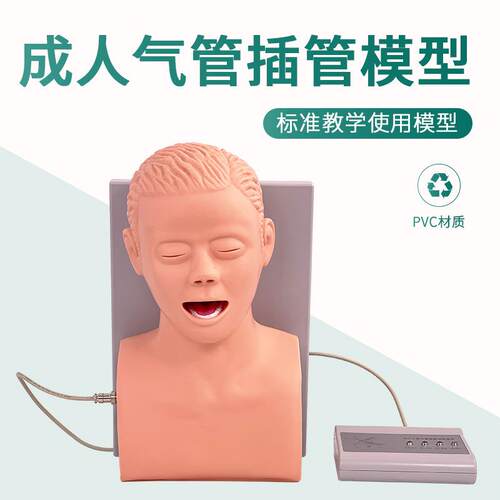 成人气管插管训练模型 牙齿报警 人体电子气管插管训练模型 J5s