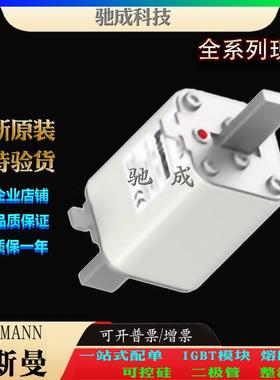 巴斯曼170M4176 170M4177 170M4178 厂家原装厂价直供 快速熔断器