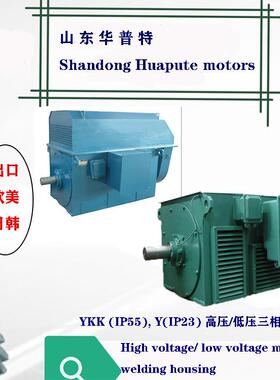 出口朝鲜欧美10kv山东华普特YKK高压电动机1250kw 355kw IP55