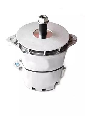 德尔科10459196/10459251/1117838发电机/19011005 /19011010