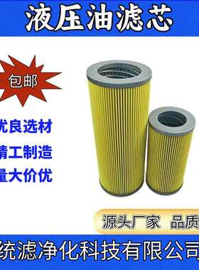 统滤净化 船舶液压泵循环滤芯FR08-10P08T油除杂质