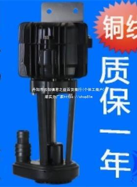 上水泵VF22W配件制冰机配件抽水泵SP抽水水泵循环泵电机2P马达YJD