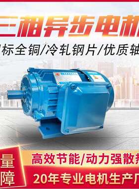 2800转三相异步电机ye2-100L-2极3KW铜芯机械设备配套大马力马达