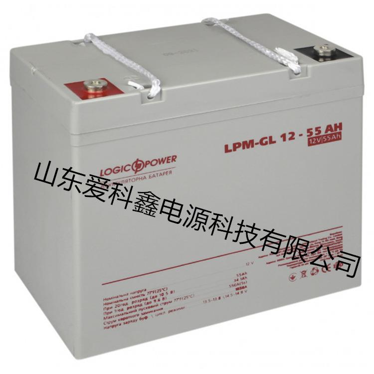 Logicpower蓄电池 LPM-GL12-55AH 12V55AH 铅酸免维护电池