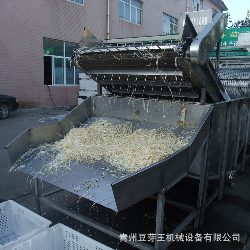 全自动豆芽清洗机 商用绿豆芽清洗机 源头工厂大型绿豆芽清洗设备