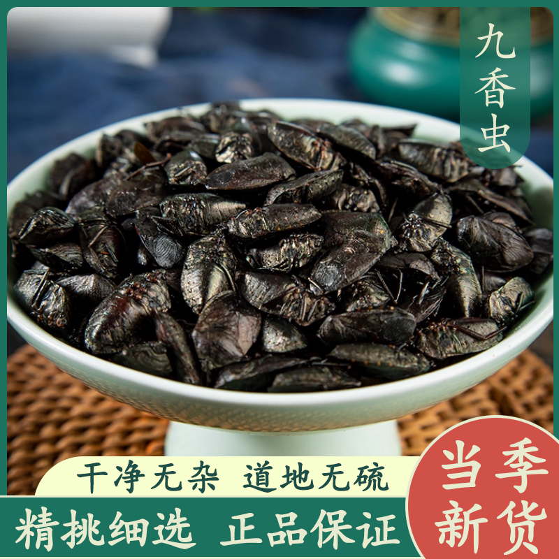 九香虫50g中药材正品新货精选打屁虫屁巴虫臭壳子虫磨粉药用食用