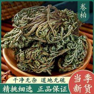 卷柏50g中药材正品新货 九死还魂草小叶卷柏石柏还阳草岩柏草