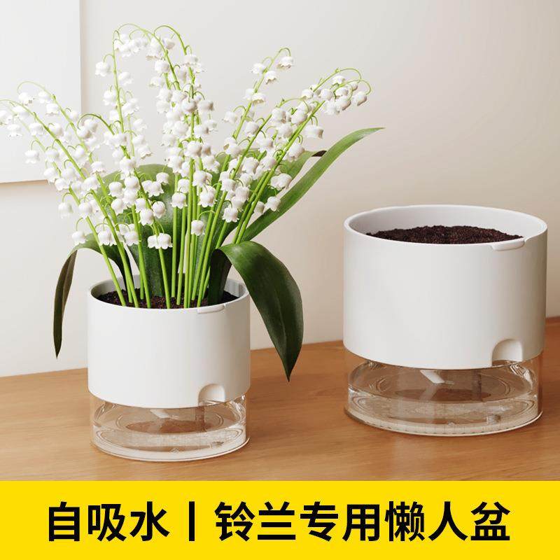 花盆懒人自动吸水铃兰水培盆懒人自动吸水盆栽储水透气器皿室内,鲜花速递/花卉仿真/绿植园艺,割草机/草坪机,淘宝优惠券,粉丝福利购,淘宝优惠卷