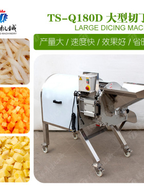 果蔬大型切丁机TS-Q180D 中央厨房食品作业设备 切丁机 腾昇机械