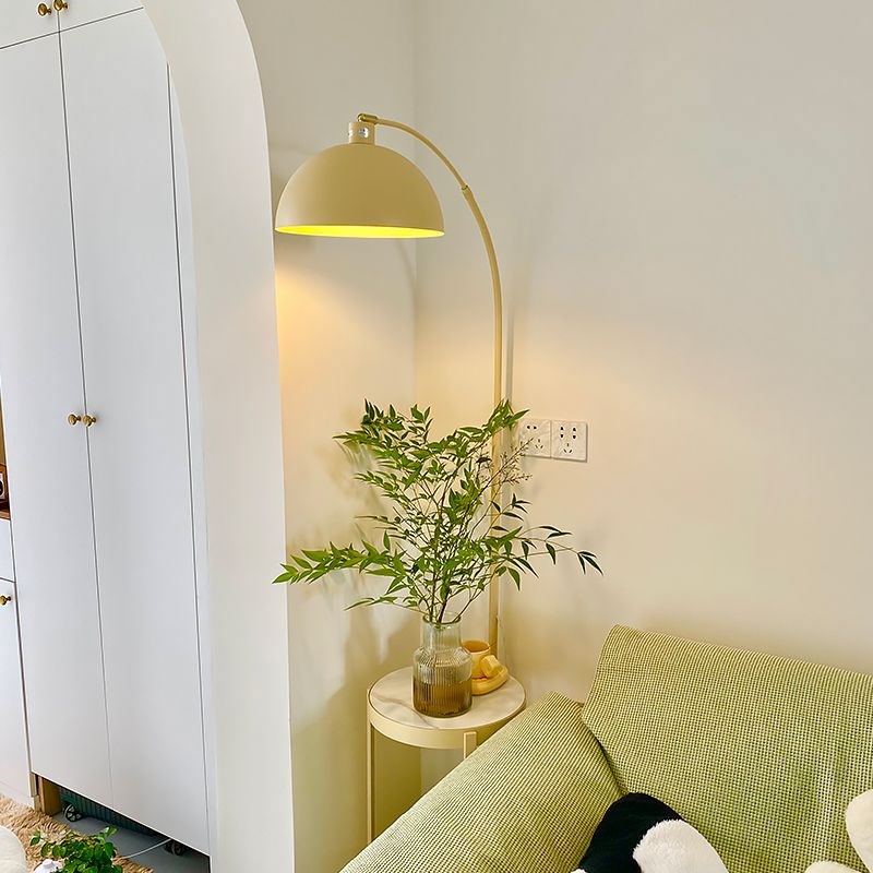 2023新款奶油风客厅钓鱼灯沙发旁边F的边几落地灯一体轻奢立灯台