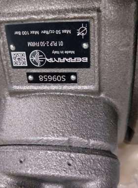 BERARMA泵01 PLP 1 20 F H R M