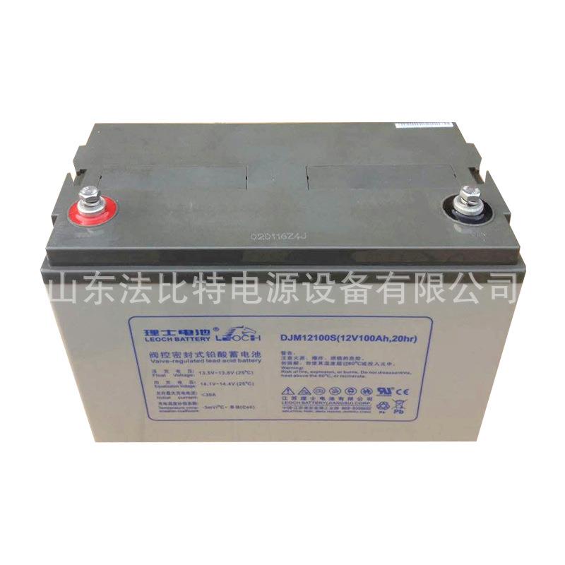 江苏理士铅酸蓄电池DJM12100S免维护12V100Ah质保三年 LEOCH