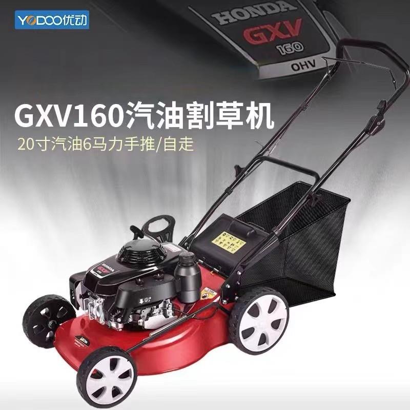 优动手推式GXV160割草机汽油草坪修剪机自走式推草机草坪除草打草