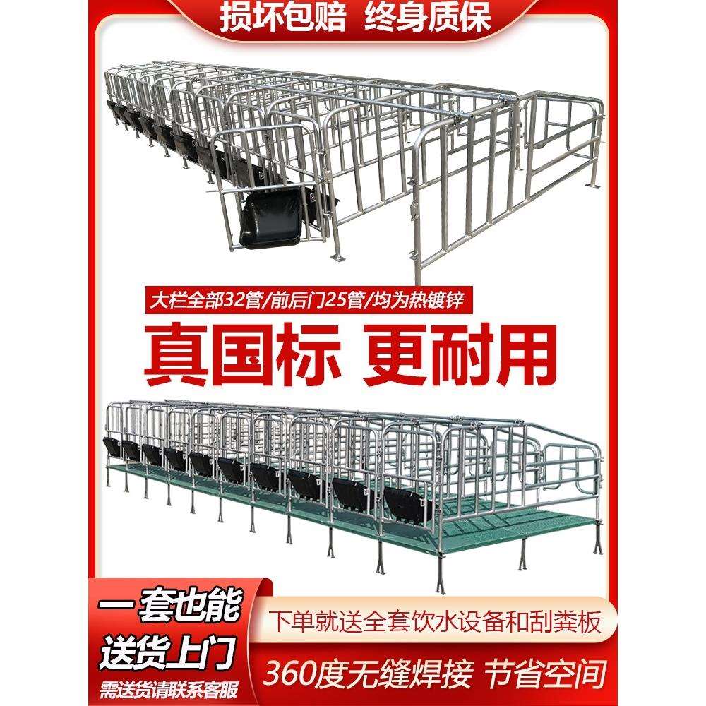 母猪定位栏带漏粪板热镀锌管落地限位单体栏产床猪圈围栏养殖设备