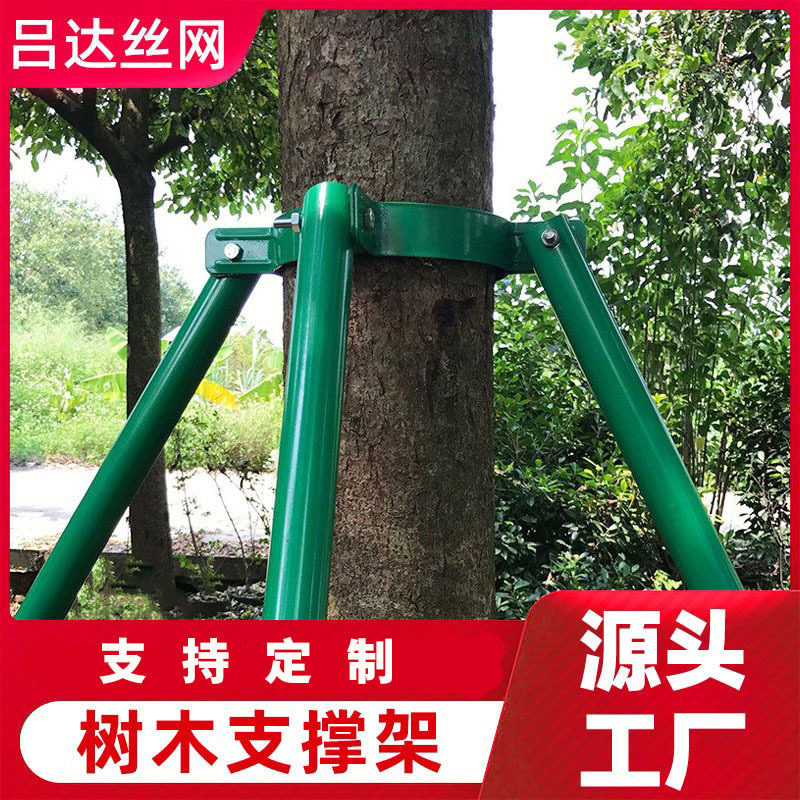树木支撑杆护林防倒固定器厂家绿颜色镀锌园林绿化钢管苗木支撑架