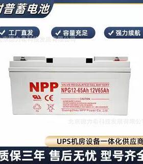 NPP耐普蓄电池12V6H NPG12-6h 太阳能光伏发电路灯胶体蓄电池
