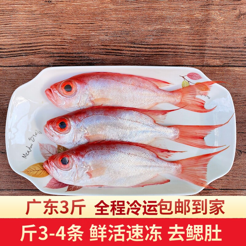 神泉本港红目鲢大眼鸡鱼新鲜冷冻潮汕海鲜大眼鱼红目良海鱼红目鳞
