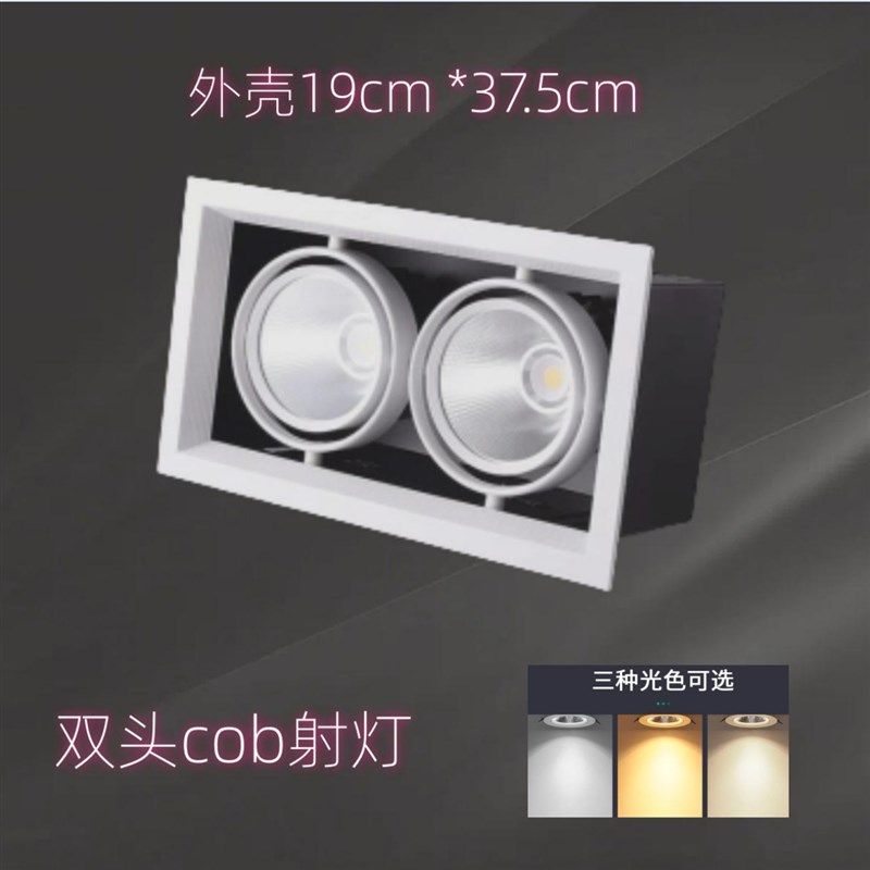 led斗胆灯双头三头双射灯筒灯方格栅嵌入式长方形斗胆灯格栅吊顶