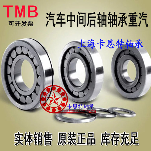 TMB满珠圆柱滚子轴承 SL183004 183005 SL183006 183007 SL183008
