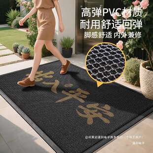 地垫入户门垫高档别墅豪宅门口除尘耐脏脚垫家用进门免洗防滑地毯