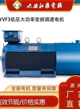 六安低压大功率YPTS-355-10/250W变频调速三相异步电机