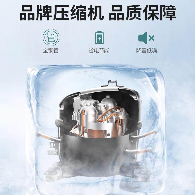 冰柜商用小型冷柜冷藏两用冰箱柜超市便利店促销牛奶雪糕酸奶冰柜