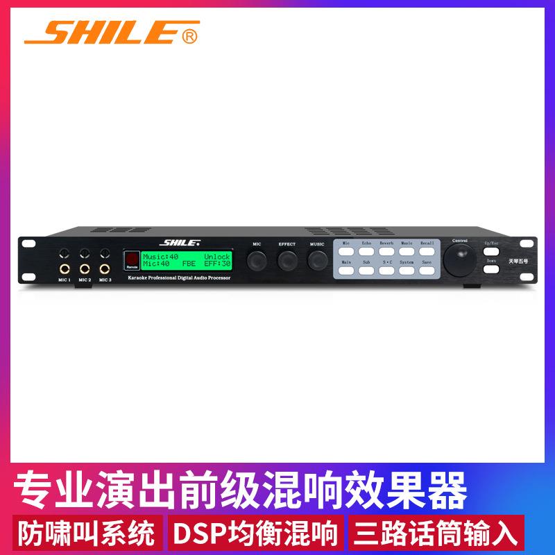 狮乐专业效果器天琴五号卡拉OK前级数字调音器 话筒防啸叫混响器