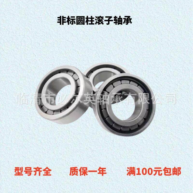 圆柱滚子轴承非标轴承08N10030VC3 05NU0618-1VHSH6C3 P30-25