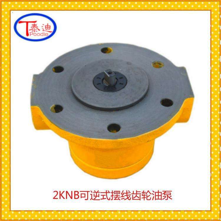 2KNB-12.5A可逆式摆线齿轮油泵 双向润滑泵 微型双向油泵