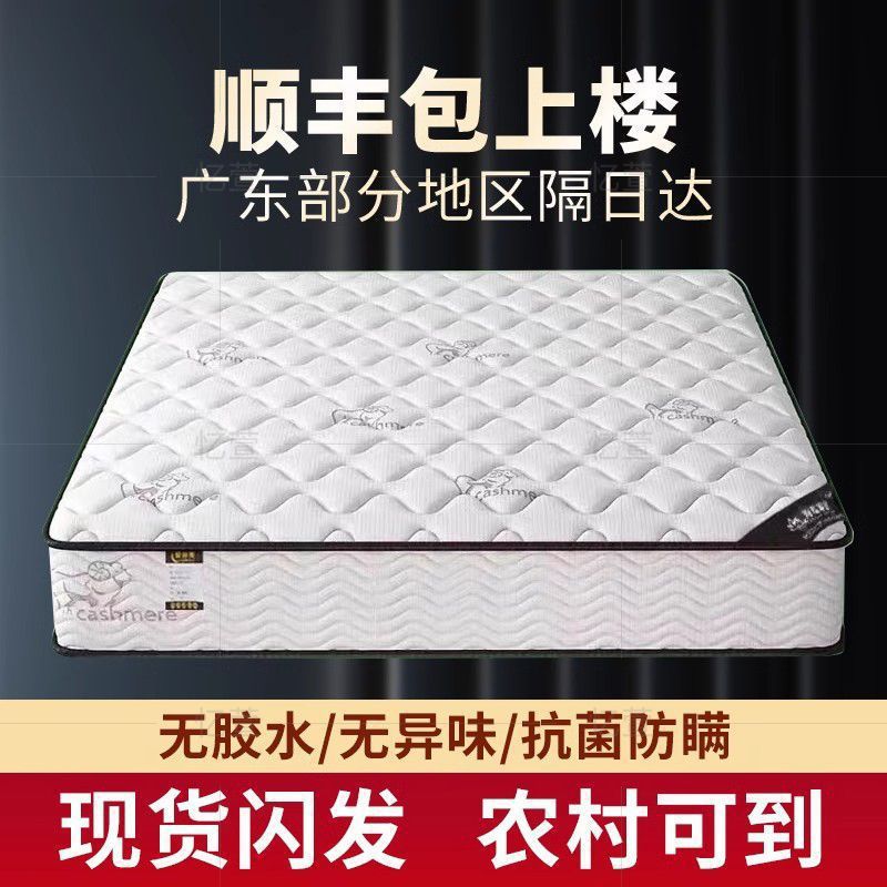 床垫软硬两用20cm经济型家用乳胶弹簧床垫租房专用床垫