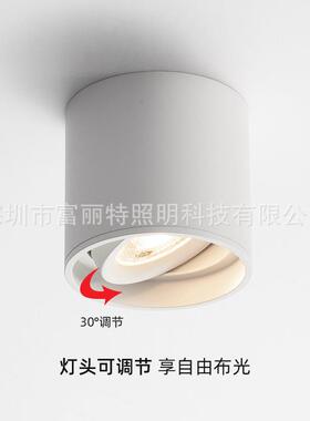 COB明装射灯可调角度无主灯 过道轻奢白色客餐厅吸顶免开孔背景灯