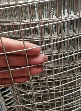 速发厂镀锌铁丝电焊网片小孔养殖围栏钢丝网养鸡狗笼兔笼加粗建筑