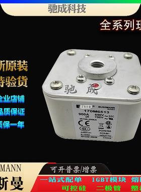 巴斯曼170M6513 170M6514 170M6515 经销销售 快速保险丝