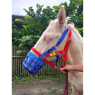 马嘴罩马面罩嘴套防咬防偷吃马笼头套防咬人马具装备马术用品