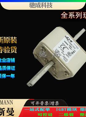 巴斯曼170M6164 170M6165 170M6166 原装进口直销价优 低压熔断器