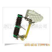 厂家直销RW10-10F带灭弧罩户外高压瓷瓶跌落式熔断器100A 200A
