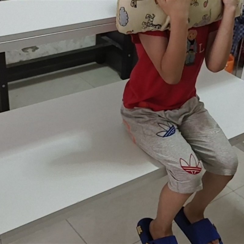 阳台铁艺实木二层阶梯大空间猫窝宠物用品收纳置物架可移动猫爬架