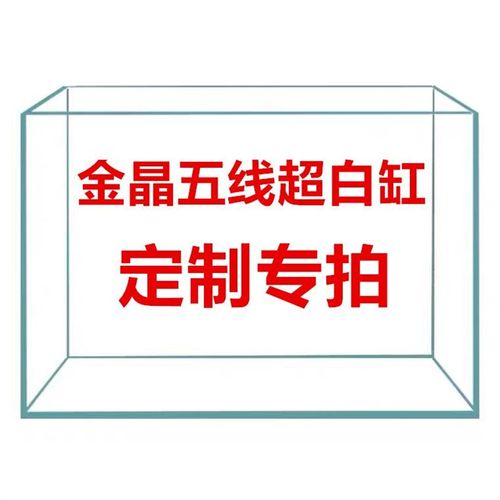 定制专拍金晶五线超白缸溪流缸方缸矮缸水族造景泰狮兰寿生态缸
