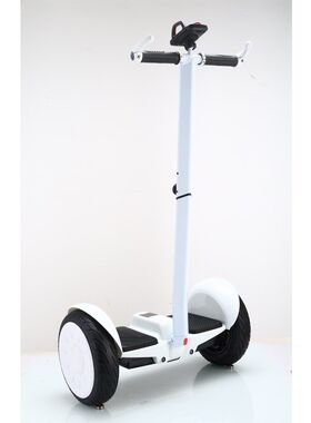 定制定制迷你平衡车54V两轮儿童体感代步车双轮10吋大轮扭扭电动