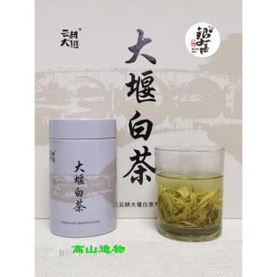 云耕大堰白茶2025年新茶普通档罐装送礼盒装奉化曲毫类绿茶
