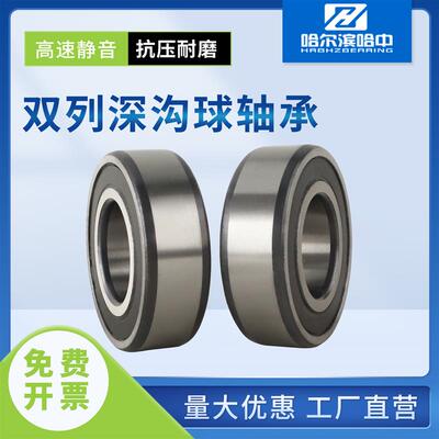 双排轴承4303 4304 4305 4306 4307 4308 4309 4310 4311 4312 RS