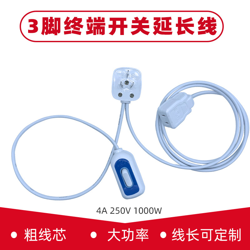 3脚插头转两孔3孔母座带末端开关电源线定制式三脚插头控制延长线图片
