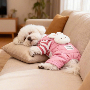 小型犬狗狗衣服可爱2025新款 棉衣带牵引扣 冬比熊泰迪博美宠物冬季