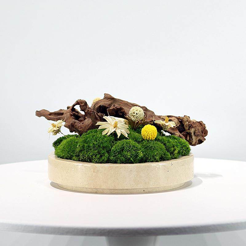 新中式大理石永生苔藓枯木景观绿植花艺轻奢现代客厅茶几餐桌摆件
