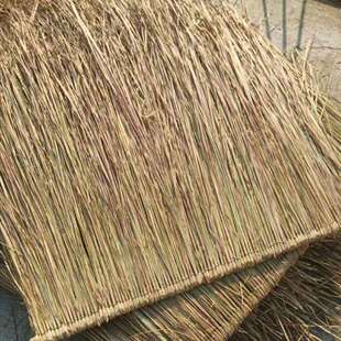 茅草屋顶真茅草天然茅草黄色手工编织加厚毛草公园农家乐景区装饰