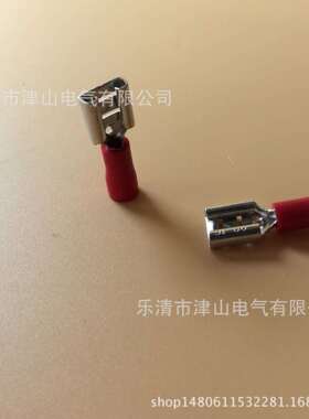 厂家 FDD2-250 母预绝缘端头 6.3护套插簧