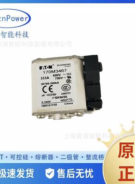 170M3408 170M3409 170M3410 170M3411 170M3412低压快熔