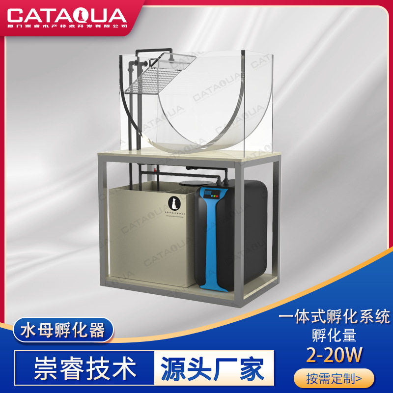 活体水母亚克力生态缸崇睿技术孵化展示水族馆小鱼观赏缸