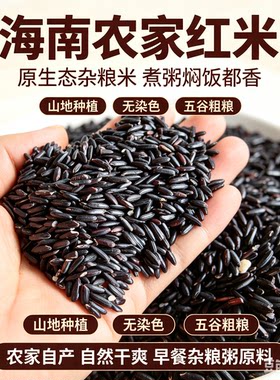 海南特产农家自种黑米红米紫米五谷杂粮粗粮黑米红米紫米
